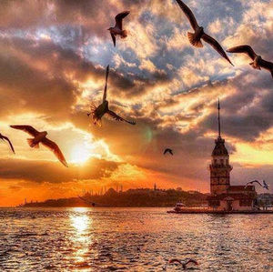 Meet your Posher, Khatera